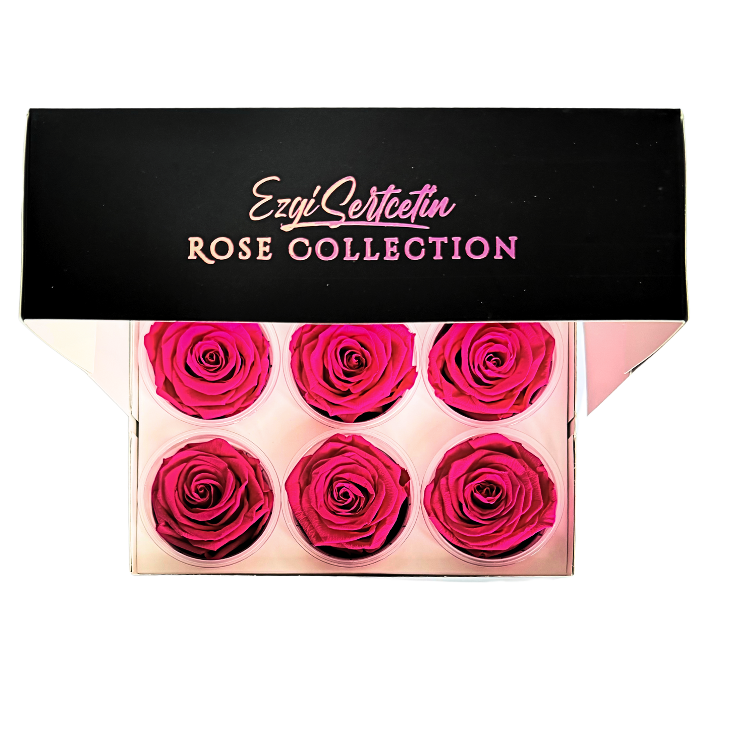 Handcrafted Preserved Roses 6.5 cm Diameter | Non Toxic | 6 Pack | Excellent for All Events and Organizations | by Ezgi Sertcetin