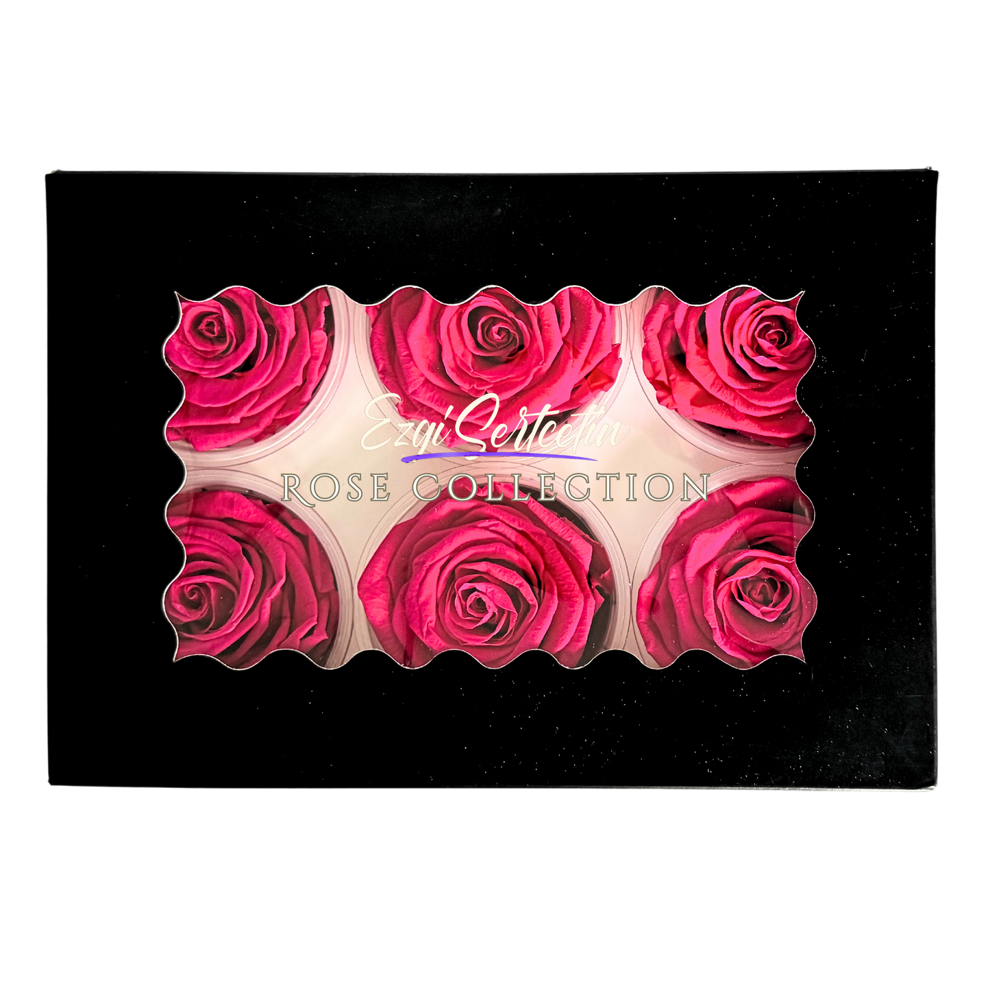 Handcrafted Preserved Roses 6.5 cm Diameter | Non Toxic | 6 Pack | Excellent for All Events and Organizations | by Ezgi Sertcetin