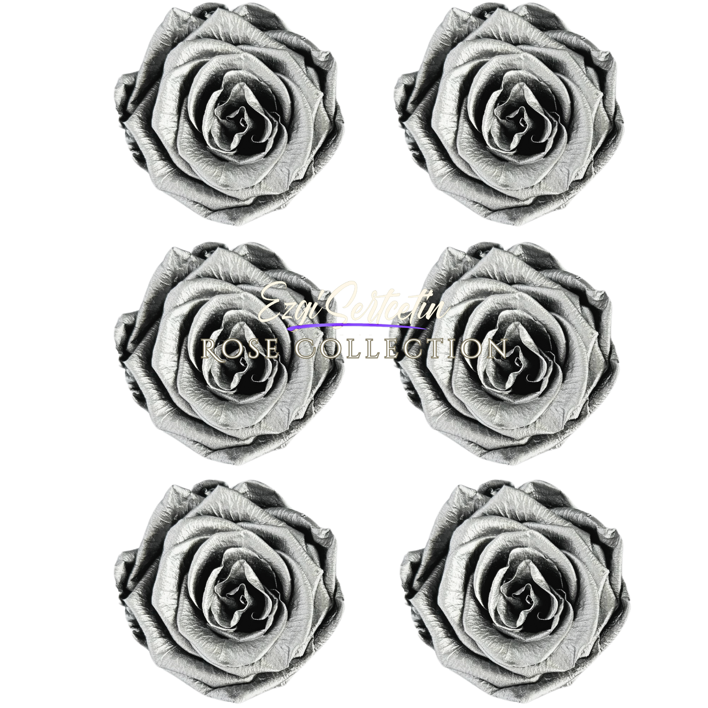 Handcrafted Preserved Roses 6.5 cm Diameter | Non Toxic | 6 Pack | Excellent for All Events and Organizations | by Ezgi Sertcetin