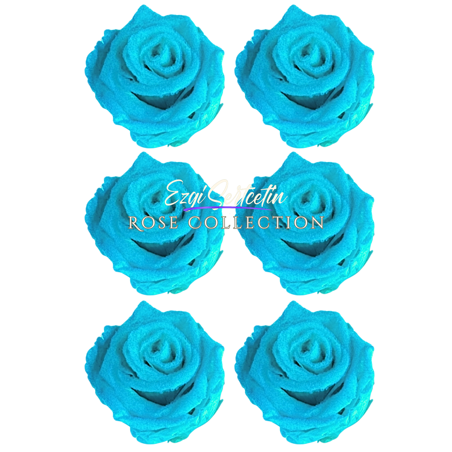 Handcrafted Preserved Roses 6.5 cm Diameter | Non Toxic | 6 Pack | Excellent for All Events and Organizations | by Ezgi Sertcetin
