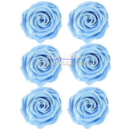 Handcrafted Preserved Roses 6.5 cm Diameter | Non Toxic | 6 Pack | Excellent for All Events and Organizations |  by Ezgi Sertcetin