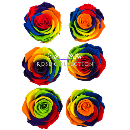 Handcrafted Preserved Roses 6.5 cm Diameter | Non Toxic | 6 Pack | Excellent for All Events and Organizations |  by Ezgi Sertcetin