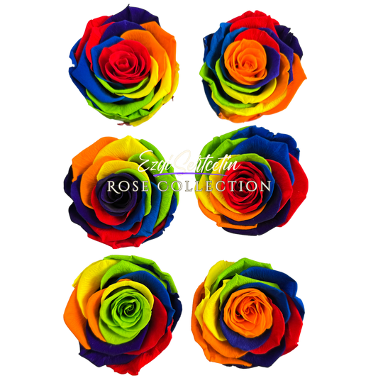 Handcrafted Preserved Roses 6.5 cm Diameter | Non Toxic | 6 Pack | Excellent for All Events and Organizations |  by Ezgi Sertcetin