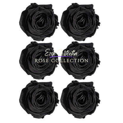 Handcrafted Preserved Roses 6.5 cm Diameter | Non Toxic | 6 Pack | Excellent for All Events and Organizations |  by Ezgi Sertcetin