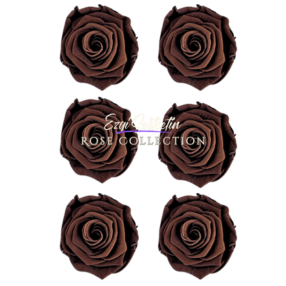 Handcrafted Preserved Roses 6.5 cm Diameter | Non Toxic | 6 Pack | Excellent for All Events and Organizations |  by Ezgi Sertcetin