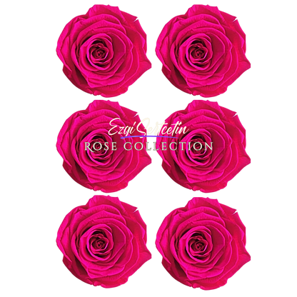 Handcrafted Preserved Roses 6.5 cm Diameter | Non Toxic | 6 Pack | Excellent for All Events and Organizations |  by Ezgi Sertcetin