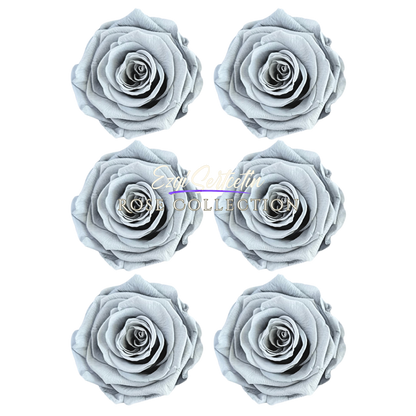 Handcrafted Preserved Roses 6.5 cm Diameter | Non Toxic | 6 Pack | Excellent for All Events and Organizations |  by Ezgi Sertcetin