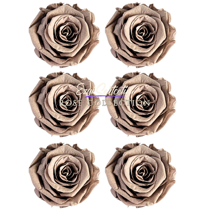 Handcrafted Preserved Roses 6.5 cm Diameter | Non Toxic | 6 Pack | Excellent for All Events and Organizations |  by Ezgi Sertcetin