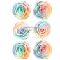 Handcrafted Preserved Roses 6.5 cm Diameter | Non Toxic | 6 Pack | Excellent for All Events and Organizations |  by Ezgi Sertcetin