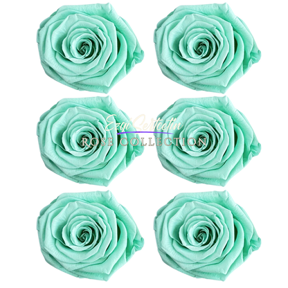 Handcrafted Preserved Roses 6.5 cm Diameter | Non Toxic | 6 Pack | Excellent for All Events and Organizations |  by Ezgi Sertcetin