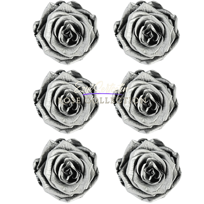 Handcrafted Preserved Roses 6.5 cm Diameter | Non Toxic | 6 Pack | Excellent for All Events and Organizations |  by Ezgi Sertcetin