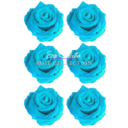 Handcrafted Preserved Roses 6.5 cm Diameter | Non Toxic | 6 Pack | Excellent for All Events and Organizations |  by Ezgi Sertcetin