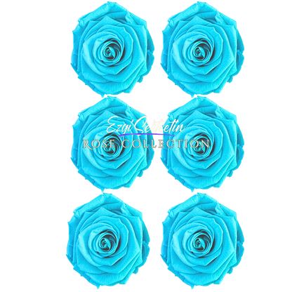 Handcrafted Preserved Roses 6.5 cm Diameter | Non Toxic | 6 Pack | Excellent for All Events and Organizations |  by Ezgi Sertcetin