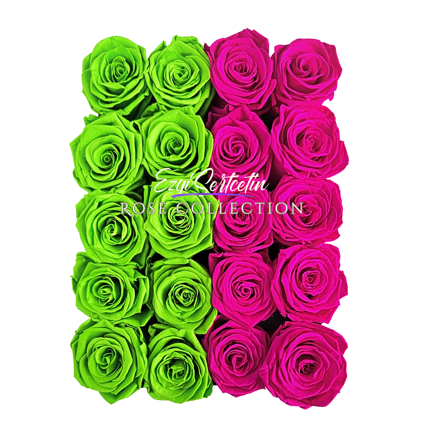 Preserved Rose Deco Gift Box|Premium Quality Handcrafted 20 Roses x 6.5 cm Diameter|Non Toxic|Excellent for All Events and Organizations|by Ezgi Sertcetin