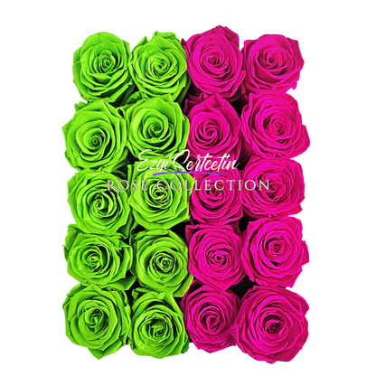 Preserved Rose Deco Gift Box|Premium Quality Handcrafted 20 Roses x 6.5 cm Diameter|Non Toxic|Excellent for All Events and Organizations|by Ezgi Sertcetin