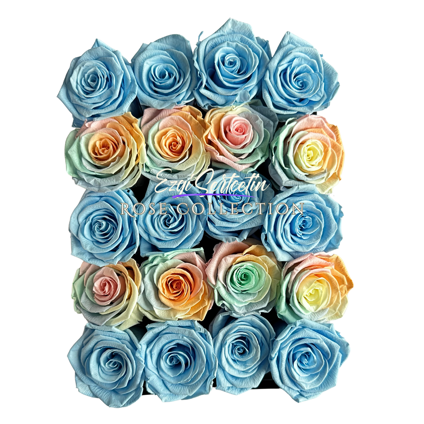 Preserved Rose Deco Gift Box|Premium Quality Handcrafted 20 Roses x 6.5 cm Diameter|Non Toxic|Excellent for All Events and Organizations|by Ezgi Sertcetin