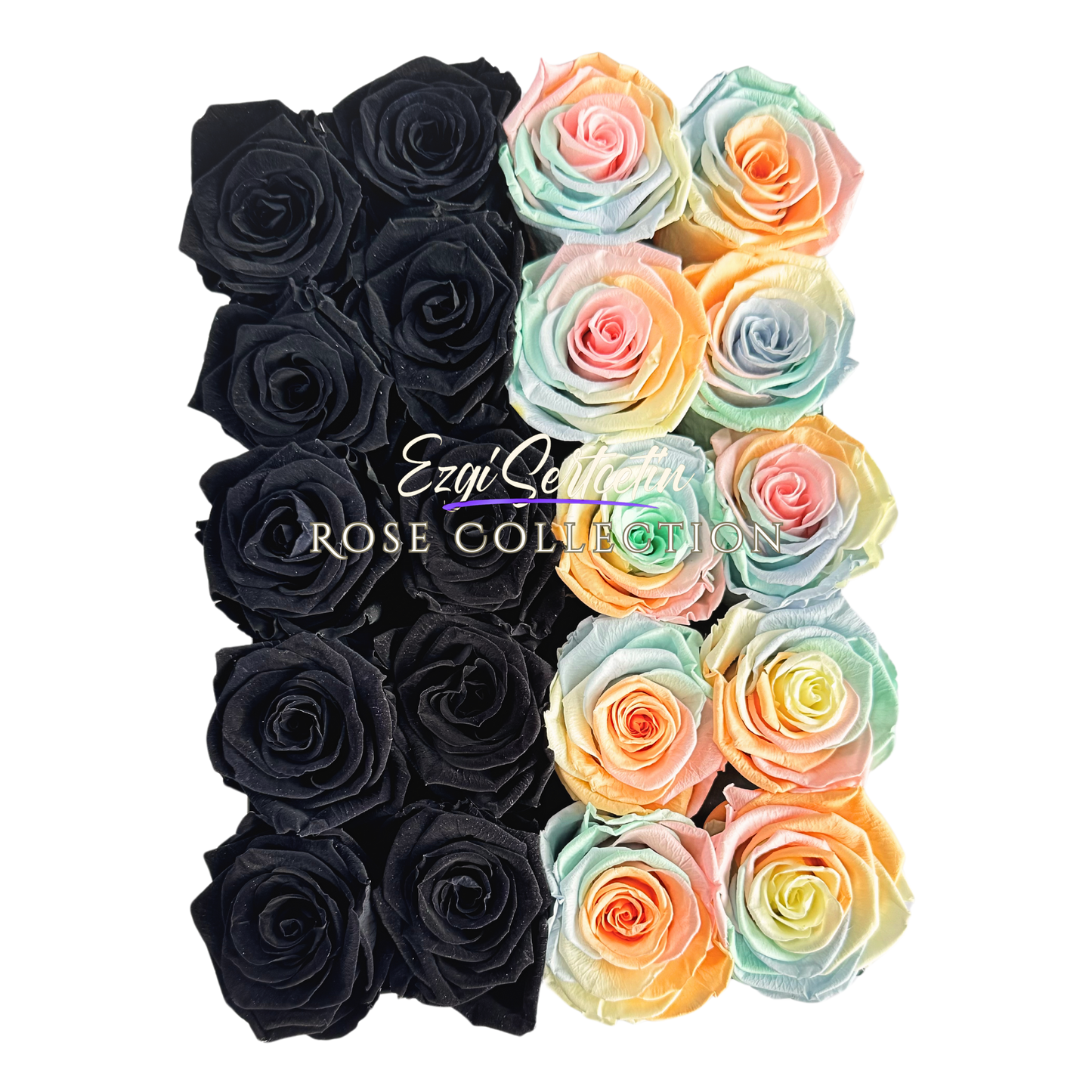 Preserved Rose Deco Gift Box|Premium Quality Handcrafted 20 Roses x 6.5 cm Diameter|Non Toxic|Excellent for All Events and Organizations|by Ezgi Sertcetin