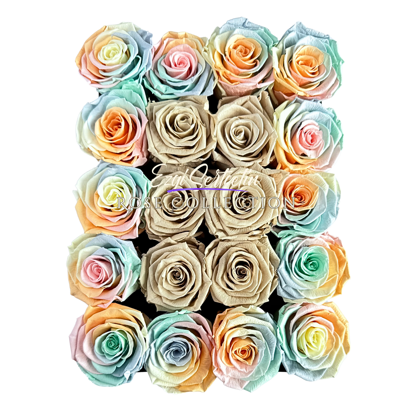 Preserved Rose Deco Gift Box|Premium Quality Handcrafted 20 Roses x 6.5 cm Diameter|Non Toxic|Excellent for All Events and Organizations|by Ezgi Sertcetin