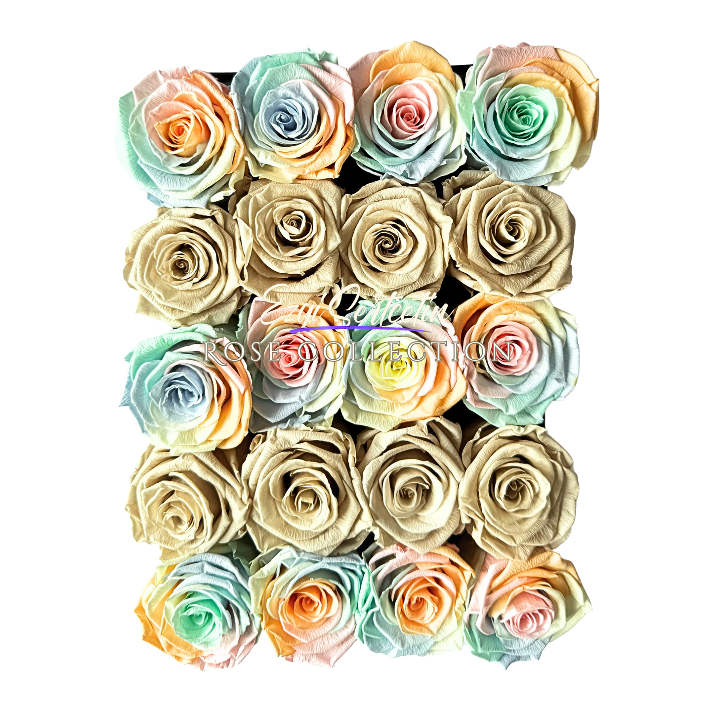 Preserved Rose Deco Gift Box|Premium Quality Handcrafted 20 Roses x 6.5 cm Diameter|Non Toxic|Excellent for All Events and Organizations|by Ezgi Sertcetin