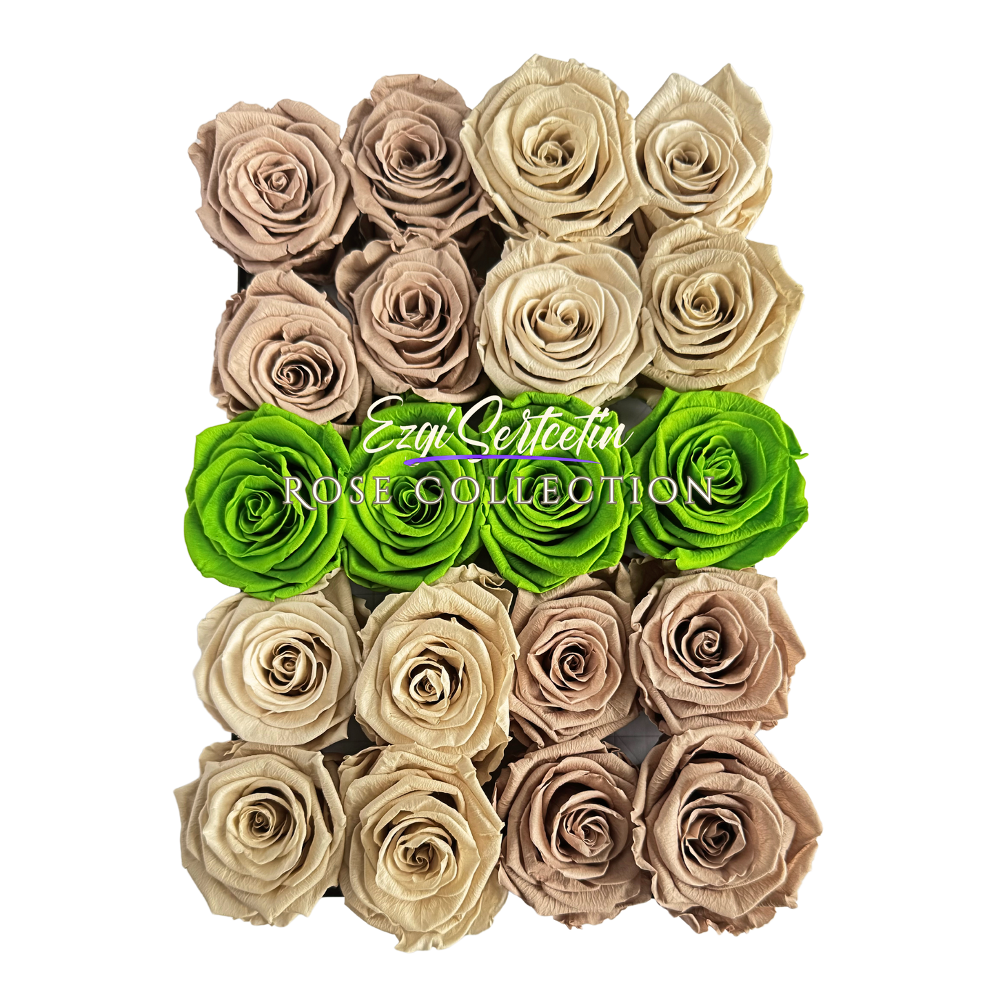 Preserved Rose Deco Gift Box|Premium Quality Handcrafted 20 Roses x 6.5 cm Diameter|Non Toxic|Excellent for All Events and Organizations|by Ezgi Sertcetin