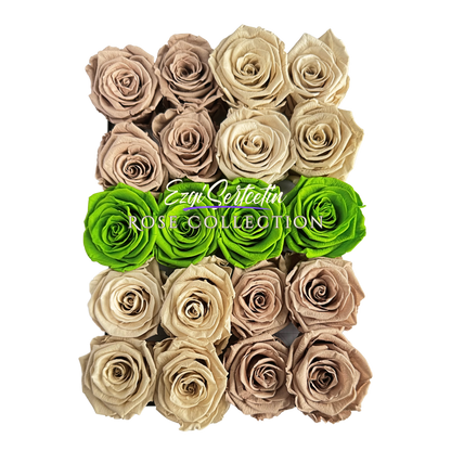 Preserved Rose Deco Gift Box|Premium Quality Handcrafted 20 Roses x 6.5 cm Diameter|Non Toxic|Excellent for All Events and Organizations|by Ezgi Sertcetin