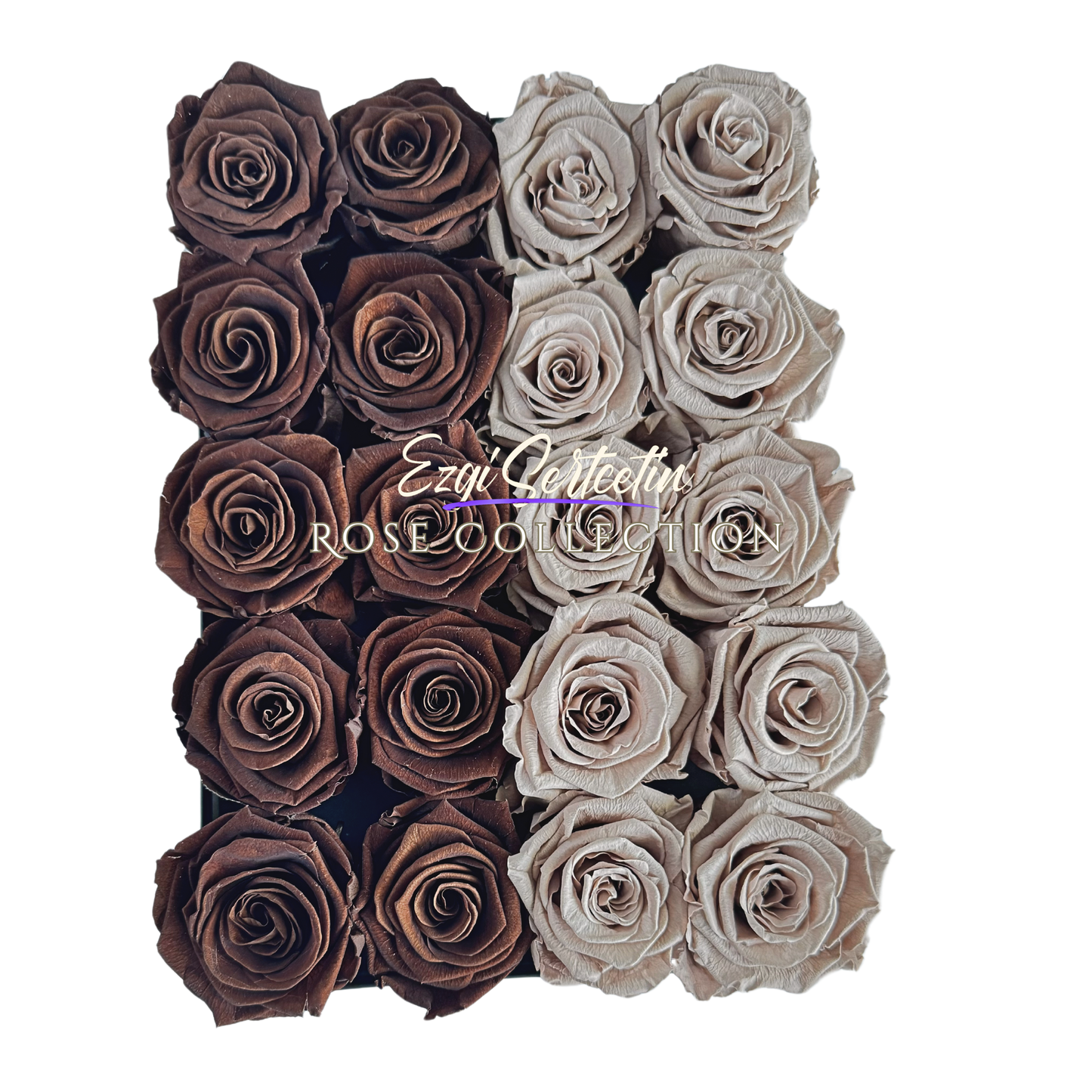 Preserved Rose Deco Gift Box|Premium Quality Handcrafted 20 Roses x 6.5 cm Diameter|Non Toxic|Excellent for All Events and Organizations|by Ezgi Sertcetin