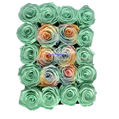 Preserved Rose Deco Gift Box|Premium Quality Handcrafted 20 Roses x 6.5 cm Diameter|Non Toxic|Excellent for All Events and Organizations|by Ezgi Sertcetin