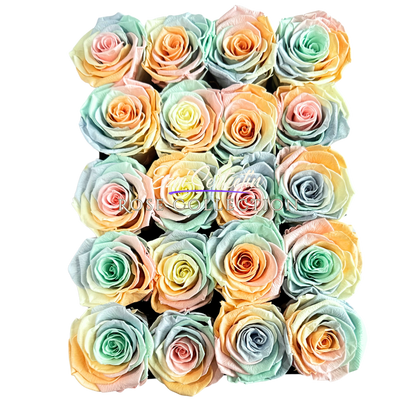 Preserved Rose Deco Gift Box|Premium Quality Handcrafted 20 Roses x 6.5 cm Diameter|Non Toxic|Excellent for All Events and Organizations|by Ezgi Sertcetin