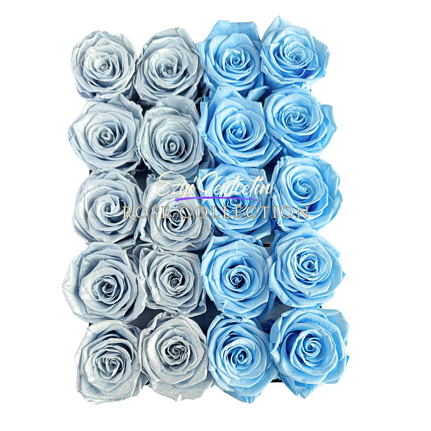 Preserved Rose Deco Gift Box|Premium Quality Handcrafted 20 Roses x 6.5 cm Diameter|Non Toxic|Excellent for All Events and Organizations|by Ezgi Sertcetin