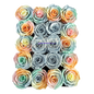 Preserved Rose Deco Gift Box|Premium Quality Handcrafted 20 Roses x 6.5 cm Diameter|Non Toxic|Excellent for All Events and Organizations|by Ezgi Sertcetin