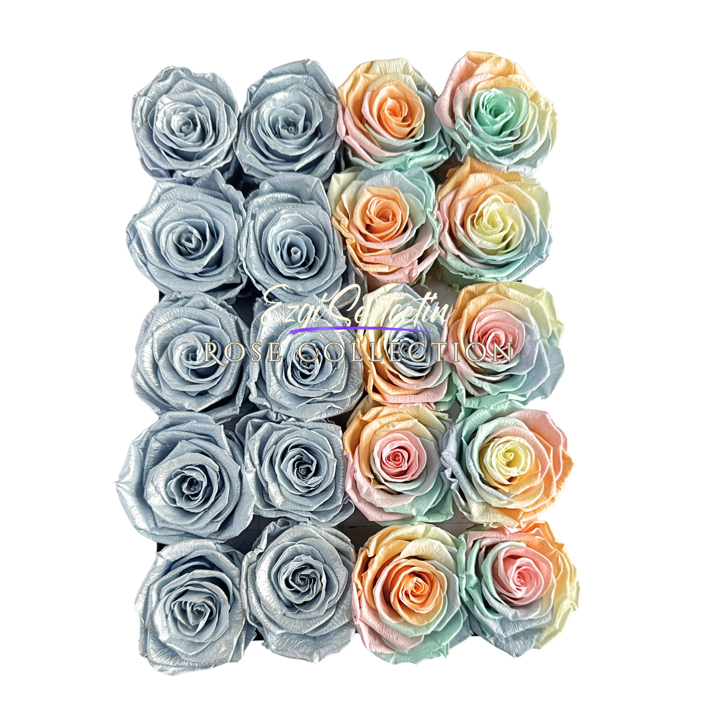 Preserved Rose Deco Gift Box|Premium Quality Handcrafted 20 Roses x 6.5 cm Diameter|Non Toxic|Excellent for All Events and Organizations|by Ezgi Sertcetin