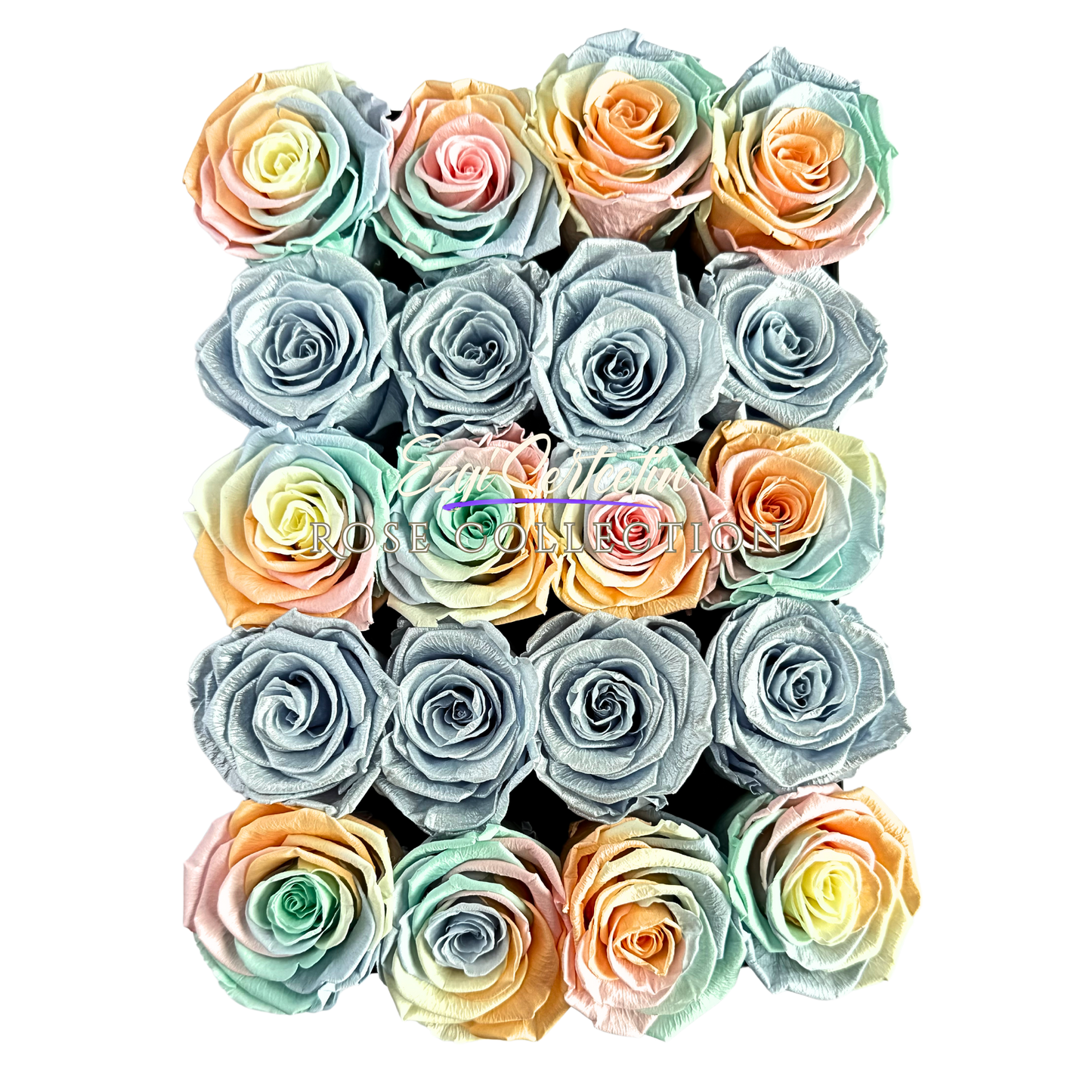 Preserved Rose Deco Gift Box|Premium Quality Handcrafted 20 Roses x 6.5 cm Diameter|Non Toxic|Excellent for All Events and Organizations|by Ezgi Sertcetin