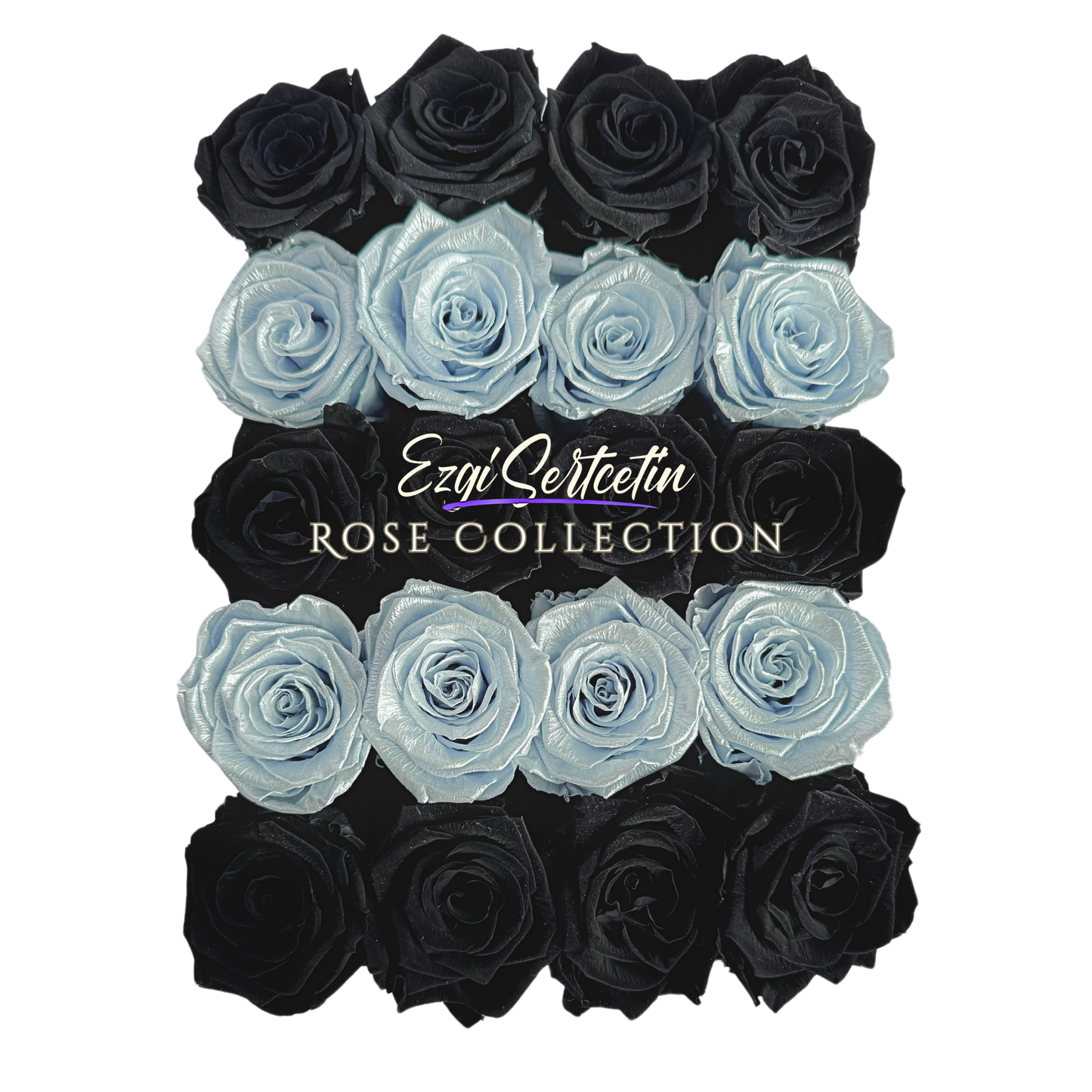 Preserved Rose Deco Gift Box|Premium Quality Handcrafted 20 Roses x 6.5 cm Diameter|Non Toxic|Excellent for All Events and Organizations|by Ezgi Sertcetin