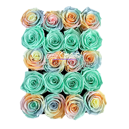 Preserved Rose Deco Gift Box|Premium Quality Handcrafted 20 Roses x 6.5 cm Diameter|Non Toxic|Excellent for All Events and Organizations|by Ezgi Sertcetin